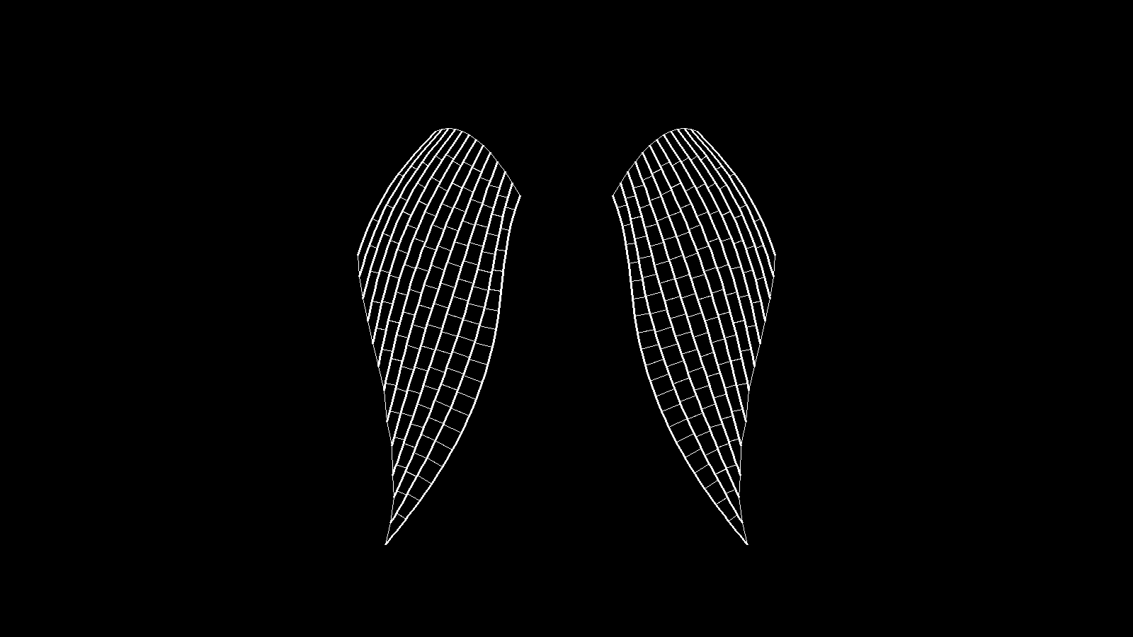 A pair of procedurally generated insect wings